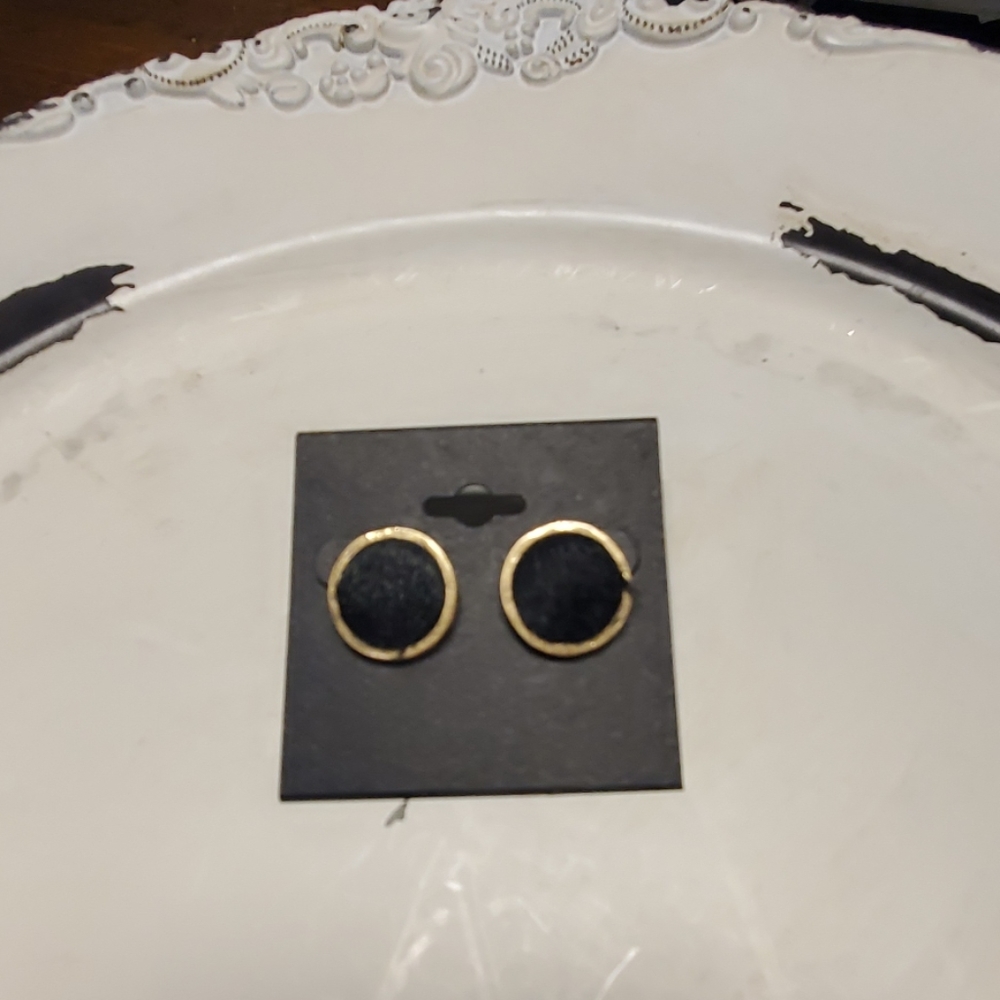 Black Fur Earrings